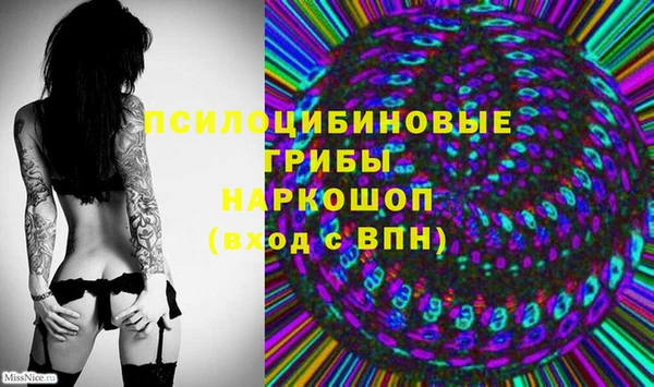 МДПВ Алексеевка