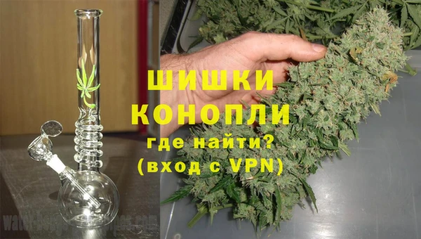 молекула духа Алзамай