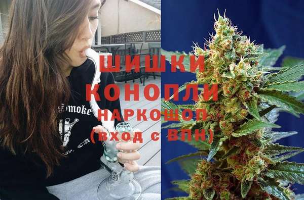 МДПВ Алексеевка