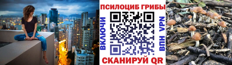 Галлюциногенные грибы MAGIC MUSHROOMS купить наркоту blacksprut как зайти Изобильный